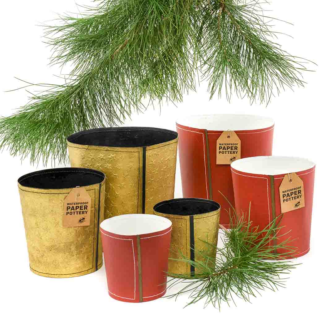 Eco Max Paper Pottery Red and Gold Pot - Import Ants
