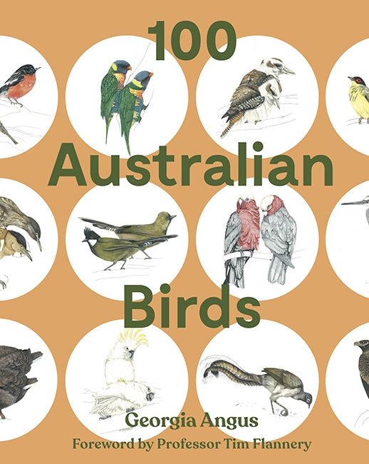 Hardie Grant Books100 Australian Birds #same day gift delivery melbourne#