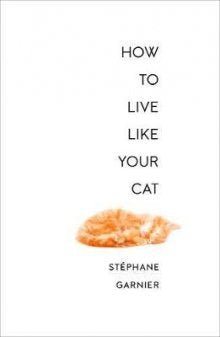 Hardie Grant BooksHow To Live Like Your Cat #same day gift delivery melbourne#