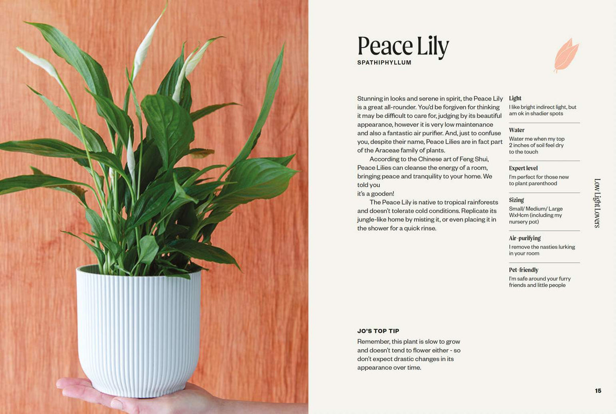 Hardie Grant BooksThe Unkillables: 40 resilient house plants for new plant parents #same day gift delivery melbourne#