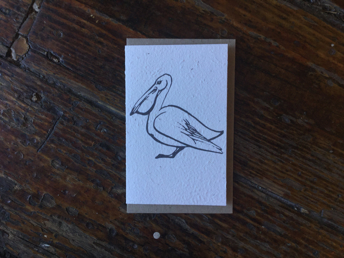 Pelican Seed Card Cards