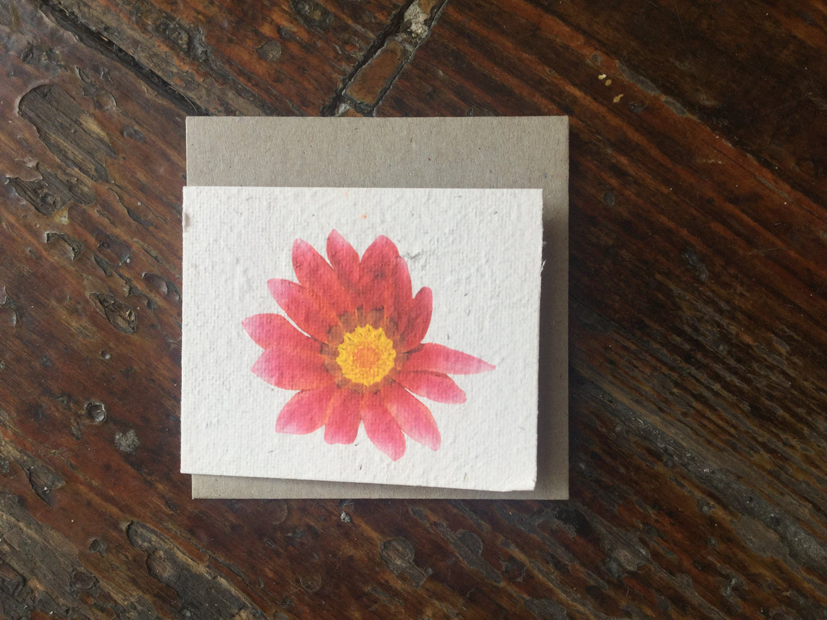 Flower Seed Card (Small) - Pookipoiga