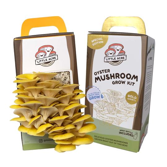 Little AcreLittle Acre Gold Oyster Mushroom Grow Kit LIMITED EDITION #same day gift delivery melbourne#