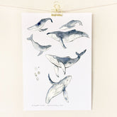 Little sister coHumpback Whale / A4 Print #same day gift delivery melbourne#