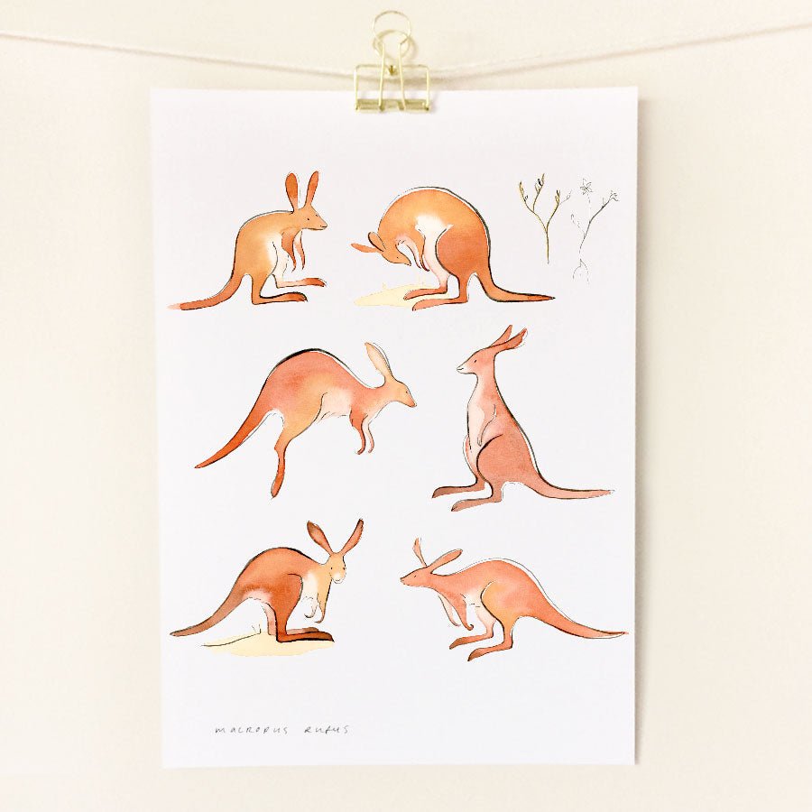 Little sister coRed Kangaroo / A4 Print #same day gift delivery melbourne#