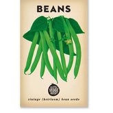 Little Veggie Patch Co Bean 'Windsor Long Pod' vintage heirloom seeds packet with retro botanical art.