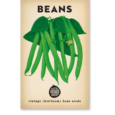 Little Veggie Patch Co Bean 'Windsor Long Pod' vintage heirloom seeds packet with retro botanical art.
