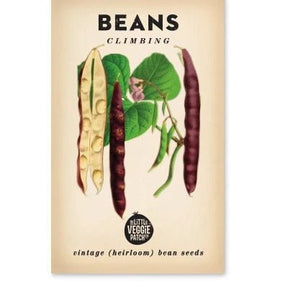Little Veggie Patch Co BEANS CLIMBING 'SCARLETT RUNNER' HEIRLOOM SEEDS