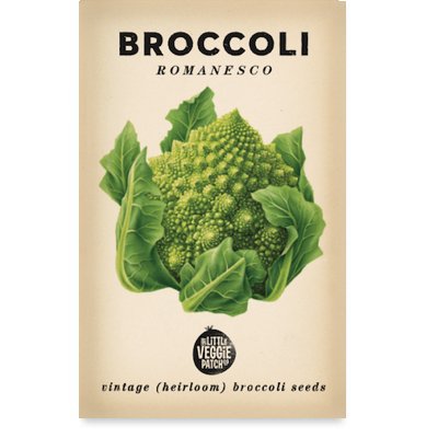 Packaging of Little Veggie Patch Co Broccoli Romanesco Heirloom Seeds featuring an illustration of the Romanesco Broccoli.