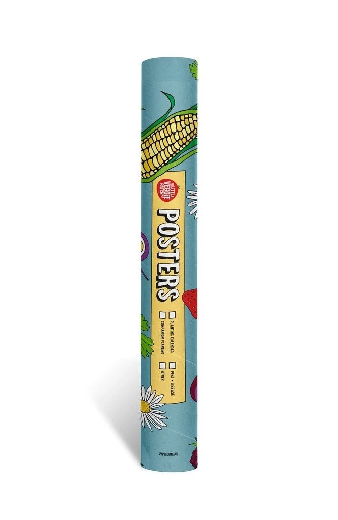 Little Veggie Patch Co branded poster storage tube featuring vintage garden graphics.