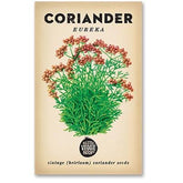 Packaging of Little Veggie Patch Co Coriander 'Eureka' Heirloom Seeds with an illustration of the coriander plant with green leaves and red flowers.