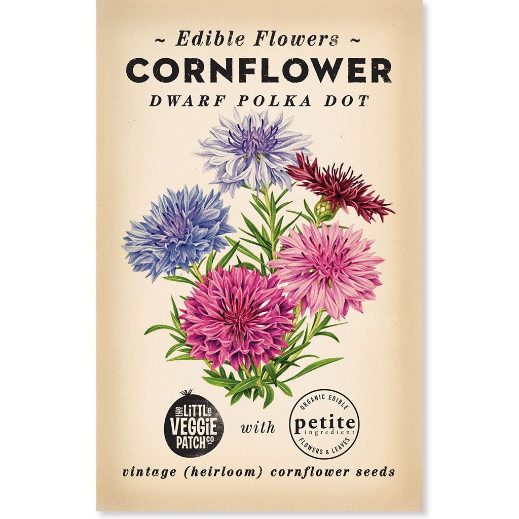 Little Veggie Patch Co Cornflower 'Dwarf Polka Dot' vintage heirloom edible flower seeds packet.