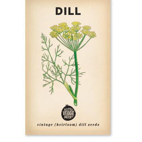 Little Veggie Patch Co Dill 'Common' vintage heirloom seeds packet with retro botanical art.