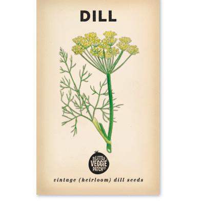 Little Veggie Patch Co Dill 'Common' vintage heirloom seeds packet with retro botanical art.