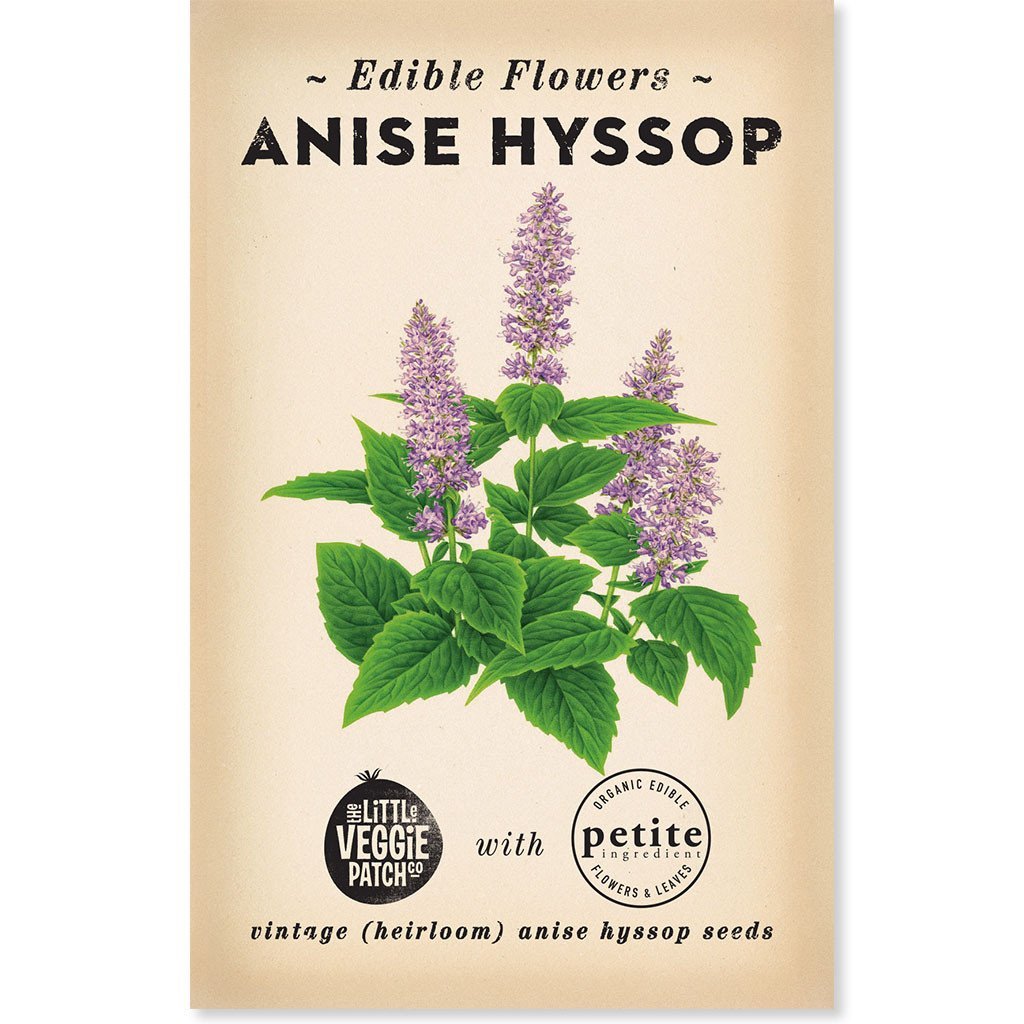 ittle Veggie Patch Co Anise Hyssop vintage heirloom edible flower seeds packet.