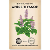 ittle Veggie Patch Co Anise Hyssop vintage heirloom edible flower seeds packet.