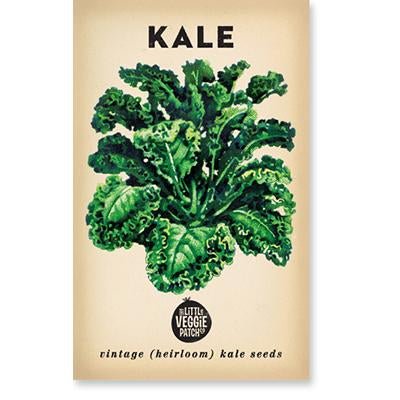 Little Veggie Patch Co Kale 'Dwarf Blue' vintage heirloom seeds packet with retro botanical art.