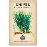 Little Veggie Patch CoLittle Veggie Patch Co CHIVES 'MEDIUM COMMON' HEIRLOOM SEEDS #same day gift delivery melbourne#