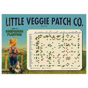 Little Veggie Patch Co Companion Planting Chart