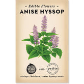 Little Veggie Patch CoLittle Veggie Patch Co HYSSOP "ANISE" HEIRLOOM SEEDS #same day gift delivery melbourne#