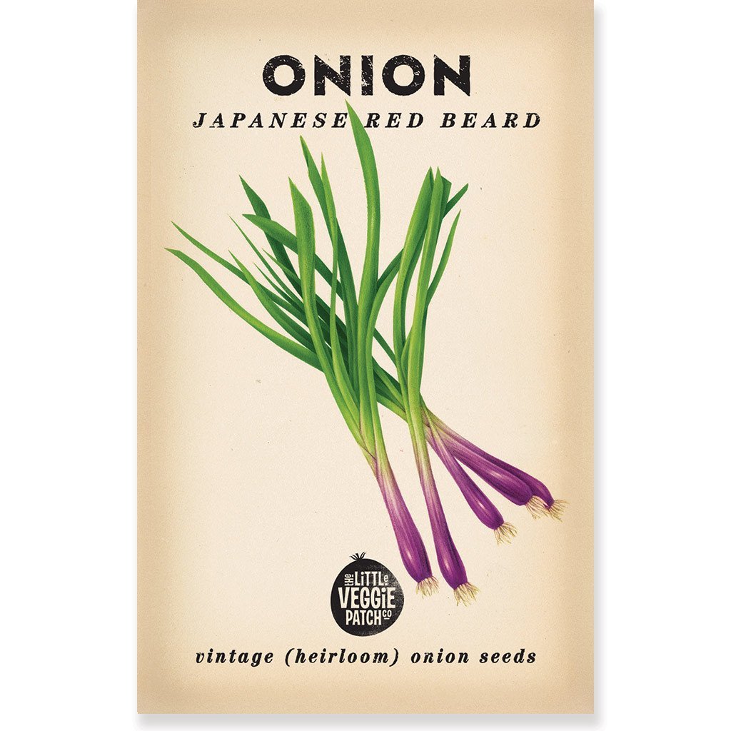 Little Veggie Patch CoLittle Veggie Patch Co ONION "JAPANESE RED BEARD" HEIRLOOM SEEDS #same day gift delivery melbourne#