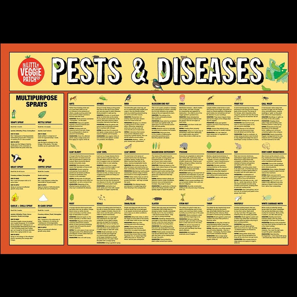 Little Veggie Patch CoLittle Veggie Patch Co Pest & Disease Help Chart #same day gift delivery melbourne#