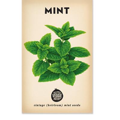 Packaging of Little Veggie Patch Co Mint 'Peppermint' Heirloom Seeds with an illustration of green mint leaves on the front.