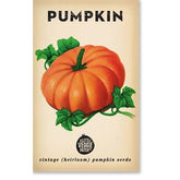 Little Veggie Patch Co Pumpkin 'Small Sugar' vintage heirloom seeds packet with retro artwork.