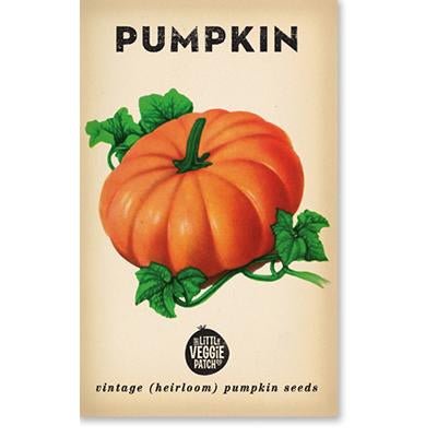 Little Veggie Patch Co Pumpkin 'Small Sugar' vintage heirloom seeds packet with retro artwork.