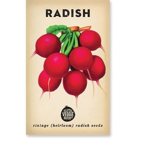 Little Veggie Patch Co RADISH 'CHERRY BELLE' HEIRLOOM SEEDS 