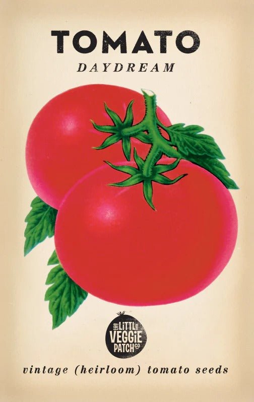 Little Veggie Patch Co TOMATO 'DAYDREAM' HEIRLOOM SEEDS 