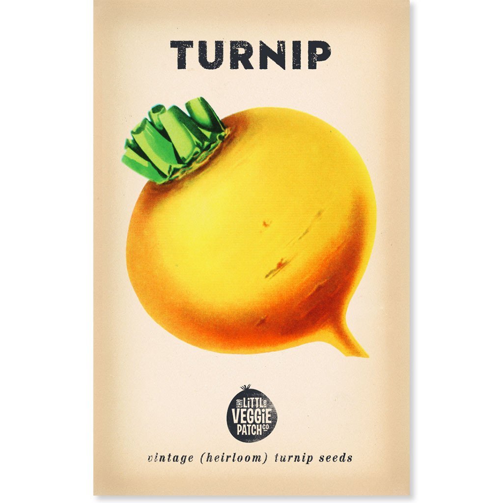 Little Veggie Patch Co Turnip 'Purple Top' vintage heirloom seeds packet with retro botanical art.
