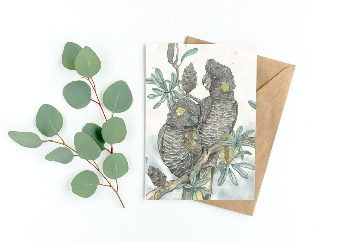 Mia Emily FreemanYellow Tailed Black Cockatoos #same day gift delivery melbourne#