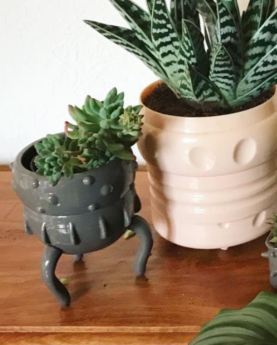 plant pots fancy Mr Fancy Plants Critter pot (pot only)