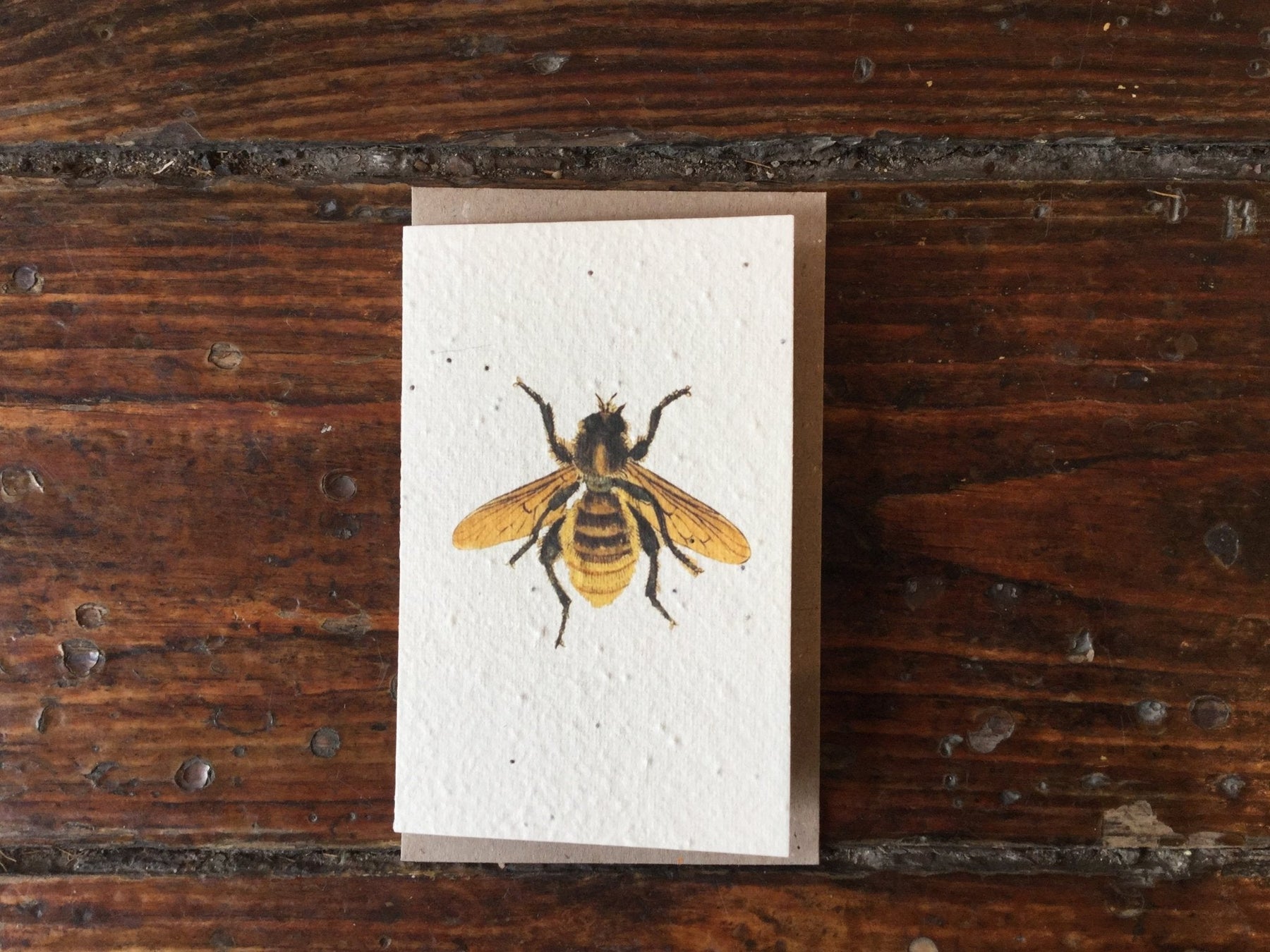 Bee Seed Card