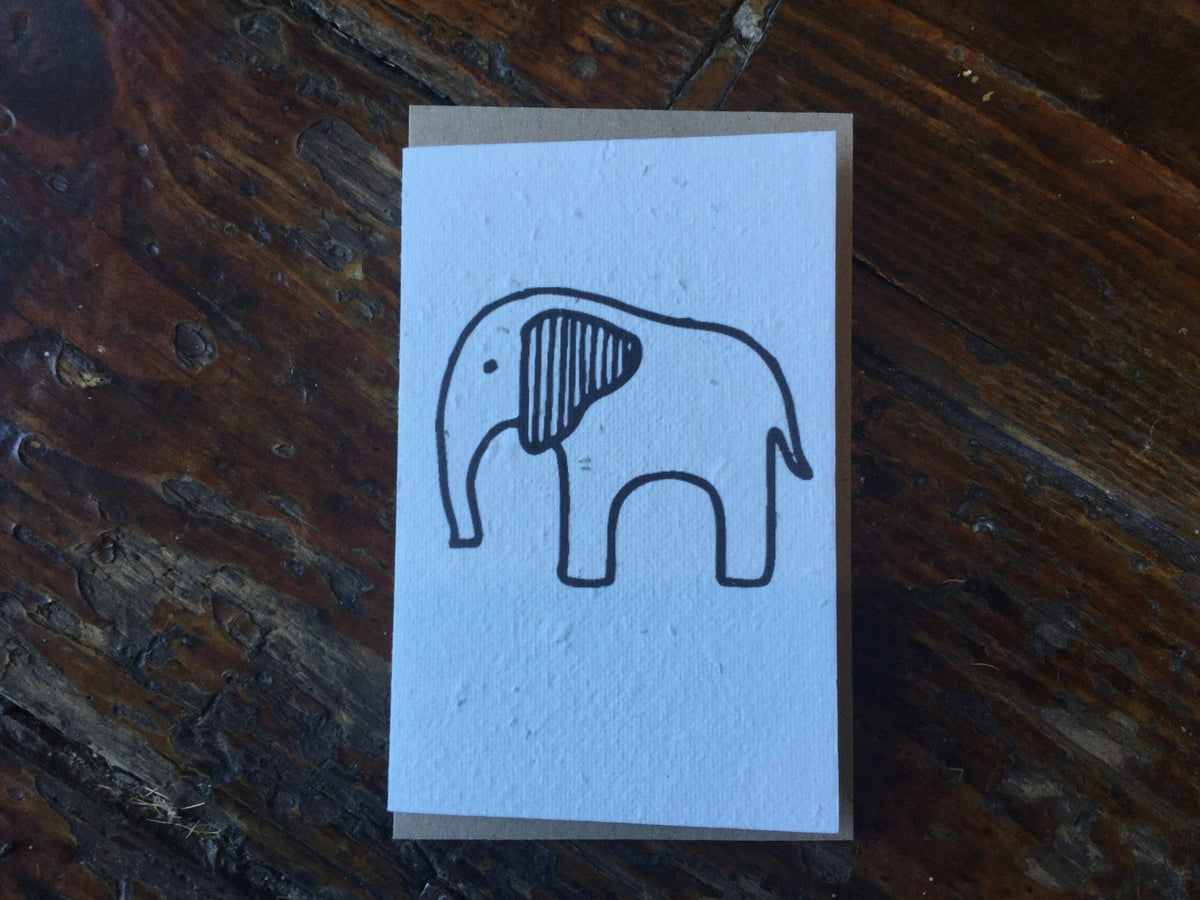 Planet Go RoundElephant Seed Card #same day gift delivery melbourne#