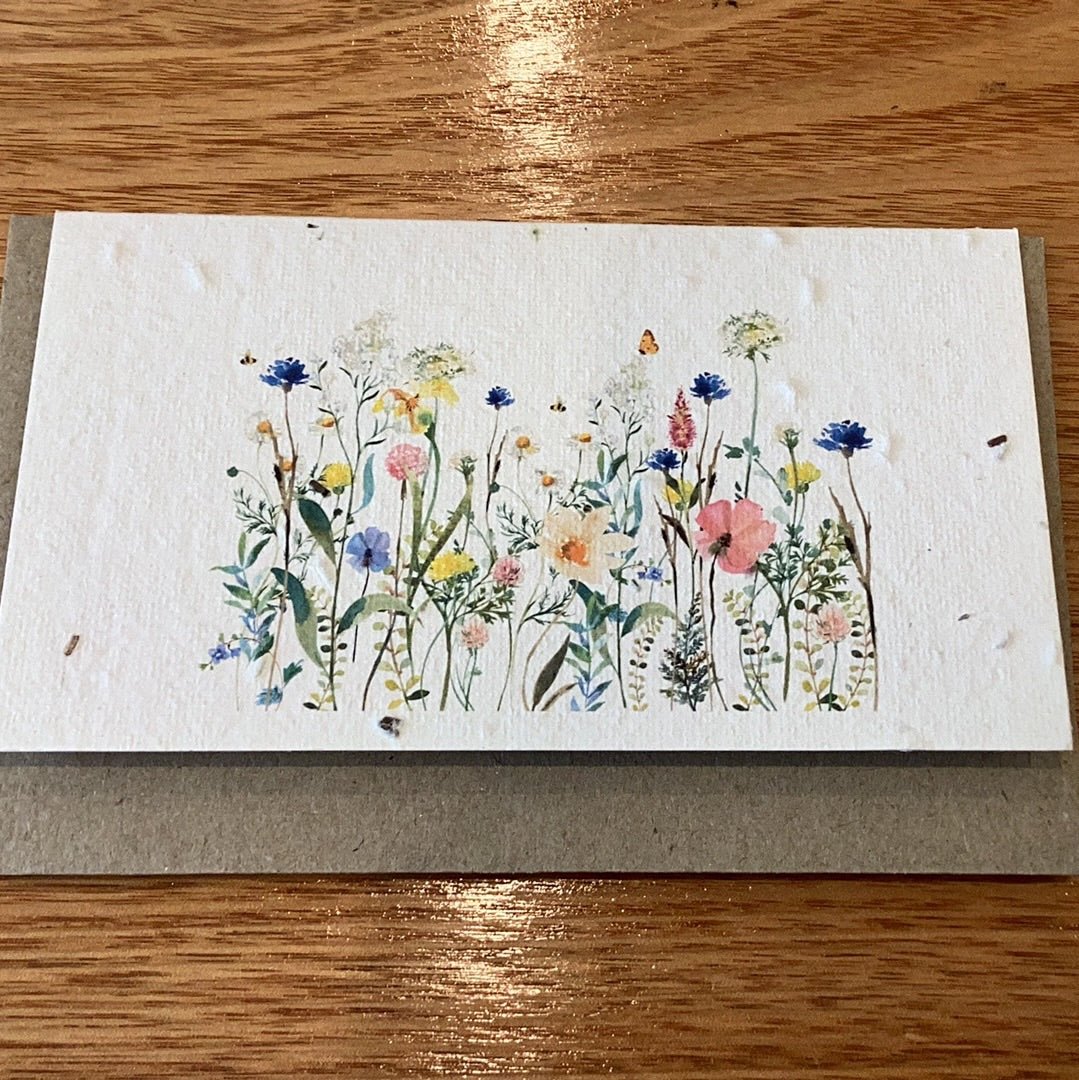 Flower Seed Card (Swan River Daisy)