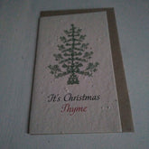 Planet Go RoundIt’s Christmas THYME Seed Card #same day gift delivery melbourne#