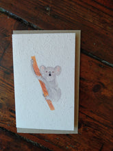 Planet Go RoundKoala Seed Card #same day gift delivery melbourne#