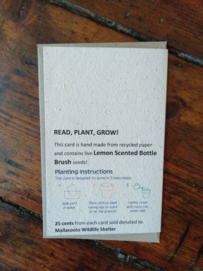 Plantable Koala Seed Card