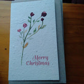 Planet Go RoundMerry Christmas Seed Card #same day gift delivery melbourne#