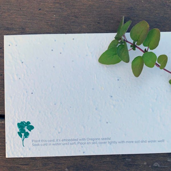 Paper-Go-Round Seeded Postcard