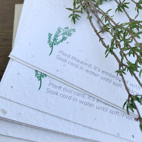 Plantable Writing Set postcards – Pack Of 8