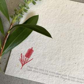Plantable Writing Set postcards – Pack Of 8