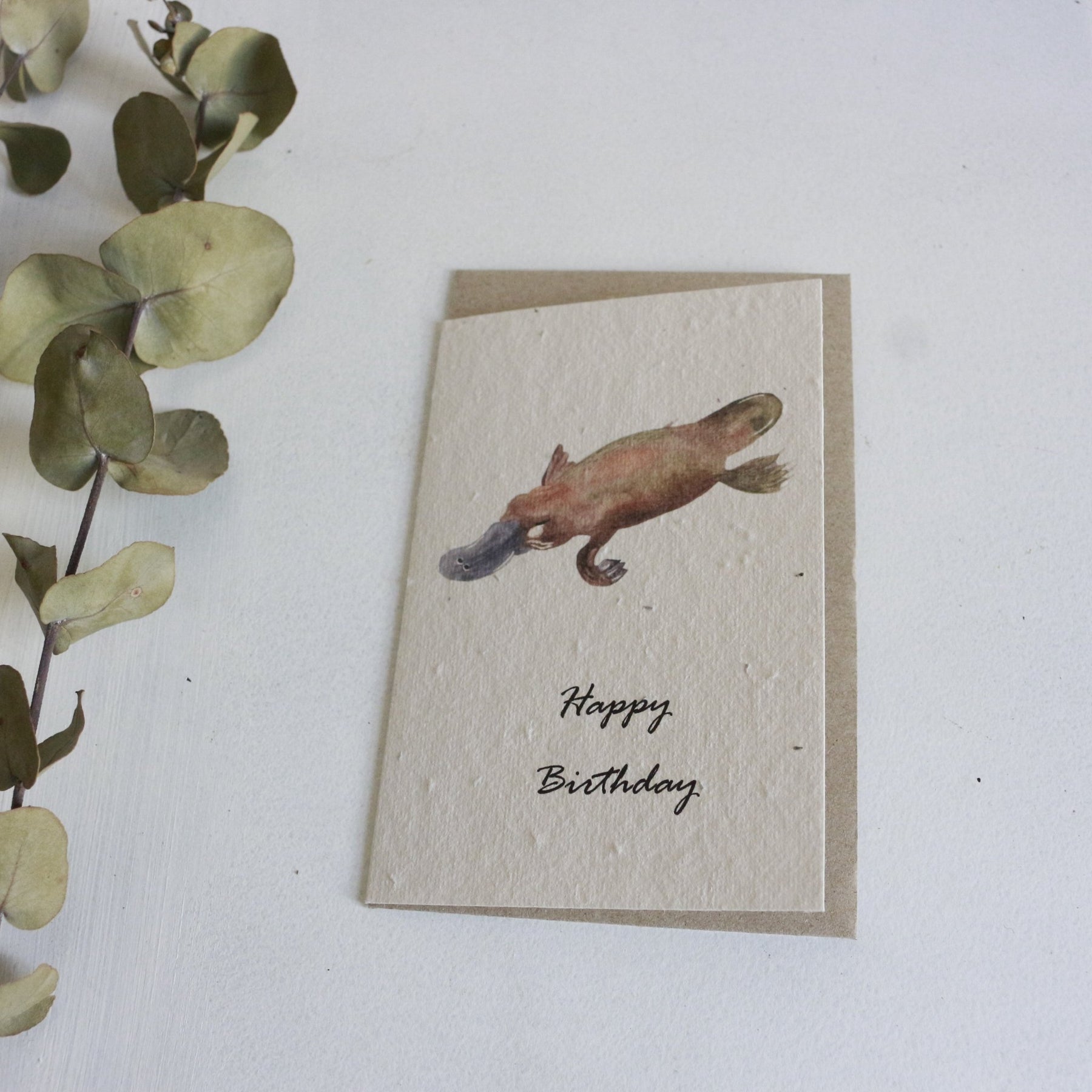 Platypus Happy Birthday Seed Card