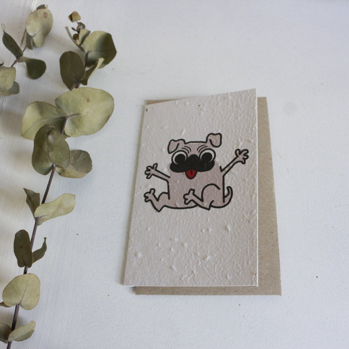 Planet Go RoundPug Seed Card #same day gift delivery melbourne#