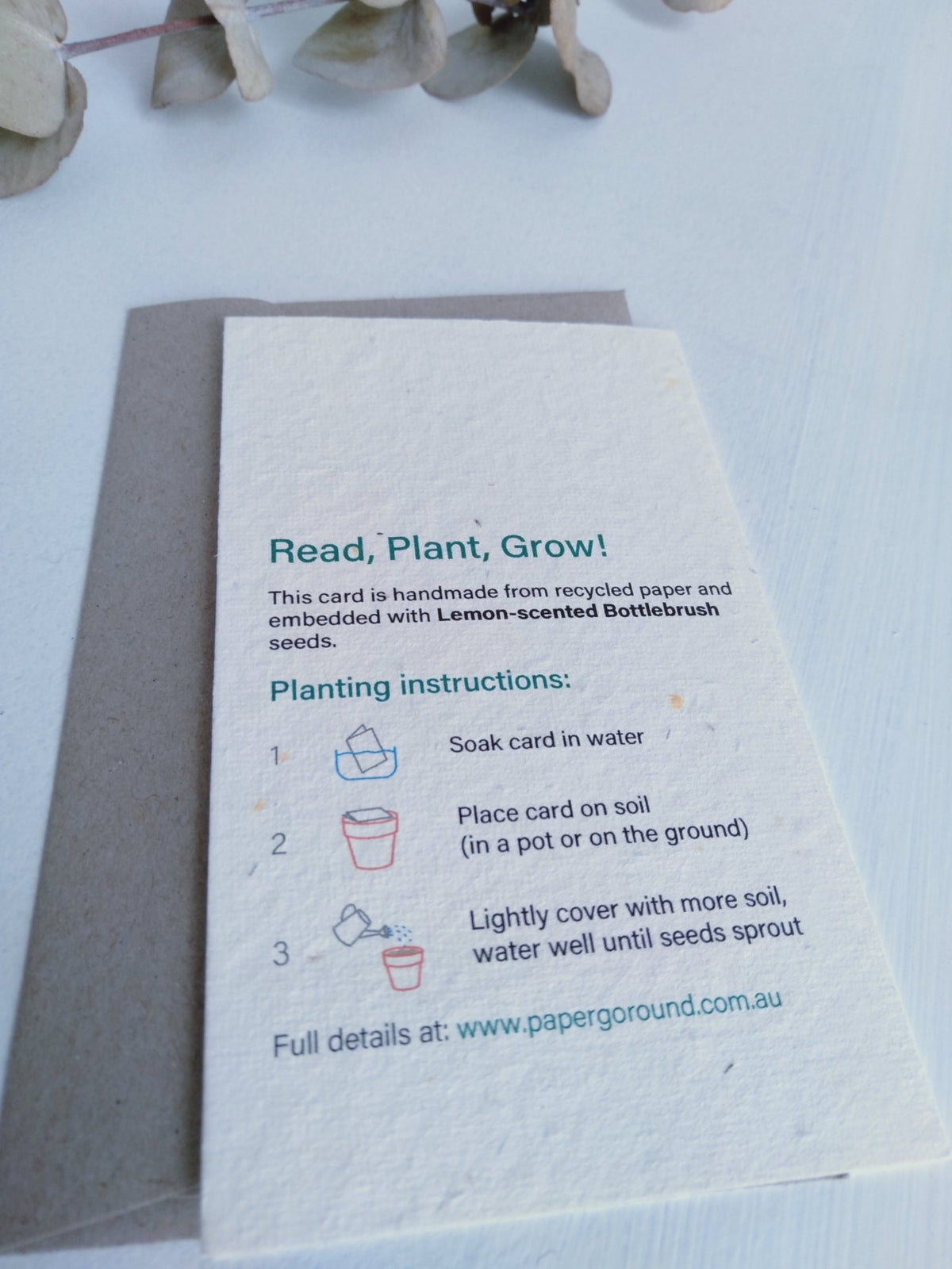 Planet Go RoundSeasons Greetings Bottle brush Seed Card #same day gift delivery melbourne#