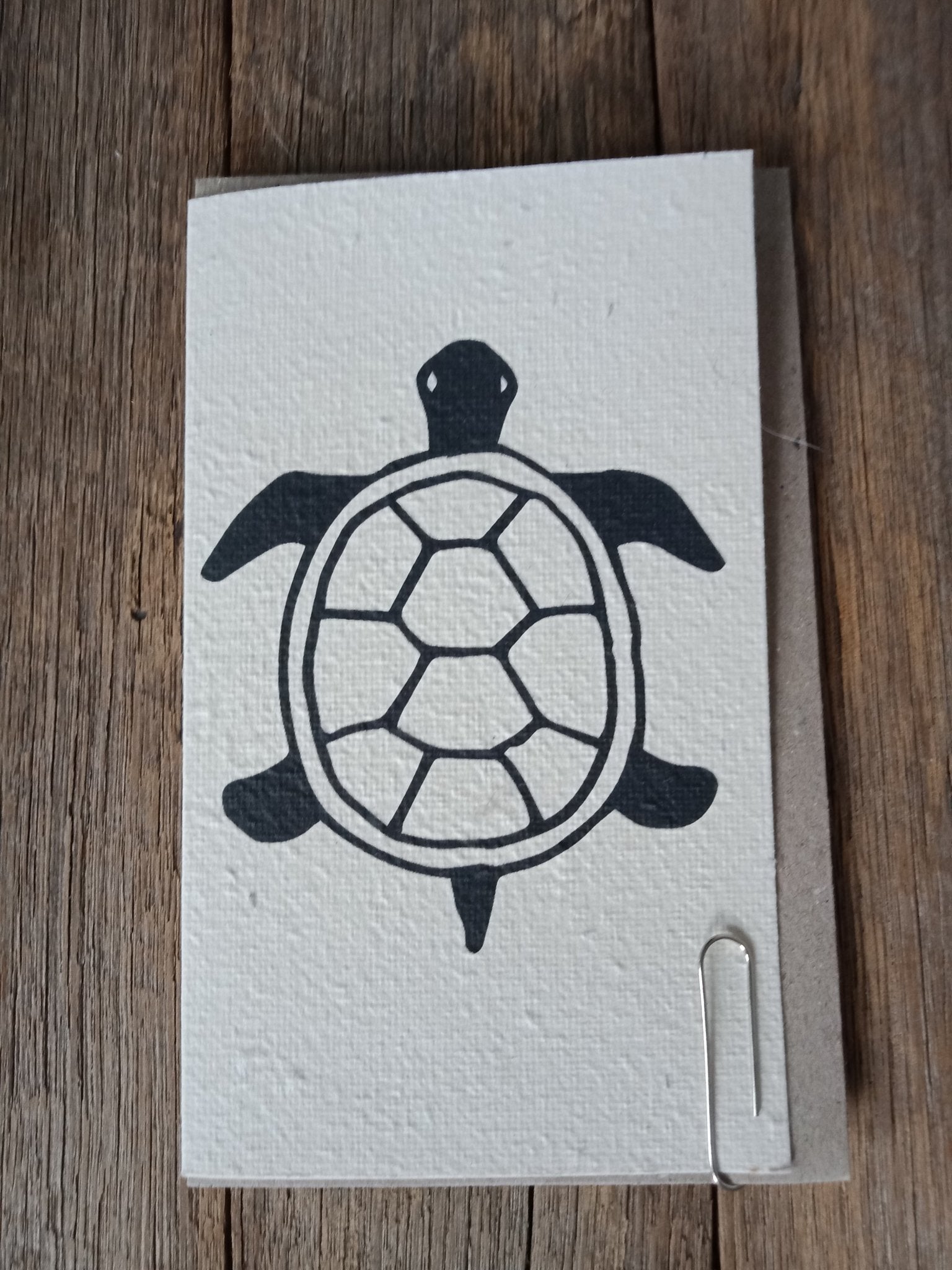 Turtle Seed Card