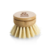 Seed & Sprout wooden dish brush replacement head with natural sisal plant bristles.