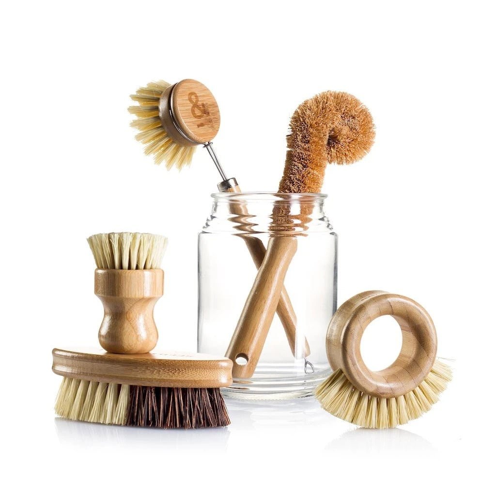 Seed & Sprout 5-piece eco cleaning brush set including bottle brush, dish brush, scrub brush, and veggie brush displayed around a clear glass jar.